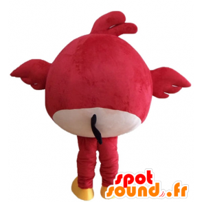 Red Bird mascot, the famous game Angry birds - MASFR23622 - Mascots famous characters