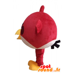 Red Bird mascote, do famoso jogo Angry birds - MASFR23622 - Celebridades Mascotes