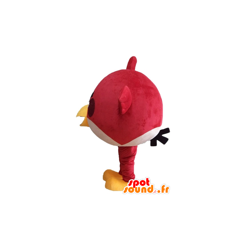 Purchase Red Bird mascot, the famous game Angry birds in Mascots famous ...