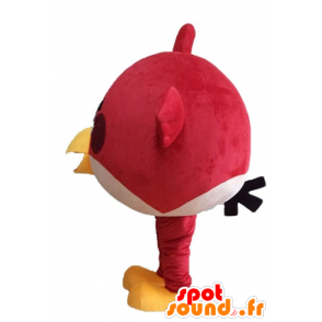 Maskot Red Bird, slavné hry Angry Birds - MASFR23622 - Celebrity Maskoti