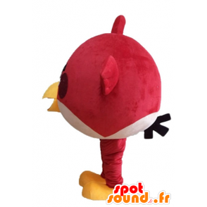 Roter Vogel-Maskottchen, die berühmten Spiel böse Vögel, - MASFR23622 - Maskottchen berühmte Persönlichkeiten
