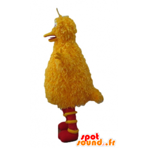 Mascote pássaro grande, pássaro amarelo famoso da Rua Sésamo - MASFR23638 - Celebridades Mascotes