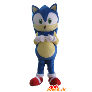 La mascota Sonic, el famoso videojuego erizo azul - MASFR23688 - Personajes famosos de mascotas