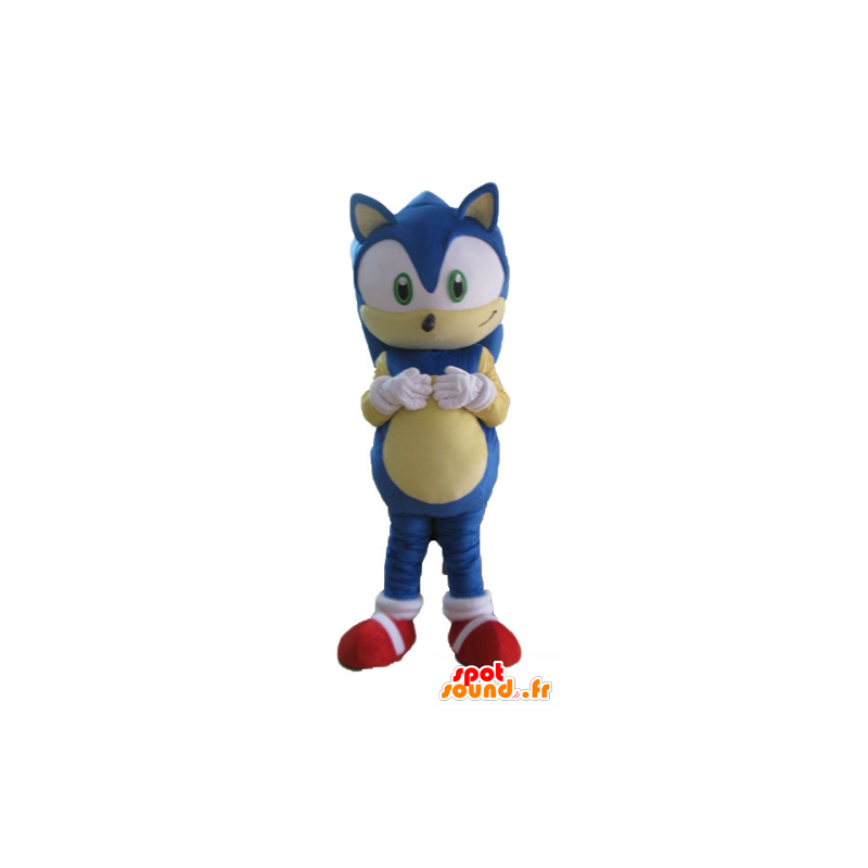 Mascot Sonic, de beroemde blauwe egel video game - MASFR23688 - Celebrities Mascottes