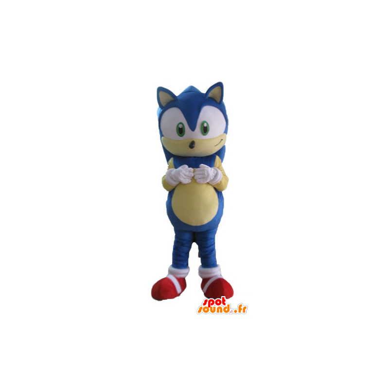 Maskotti Sonic, kuuluisa sininen siili videopeli - MASFR23688 - julkkikset Maskotteja