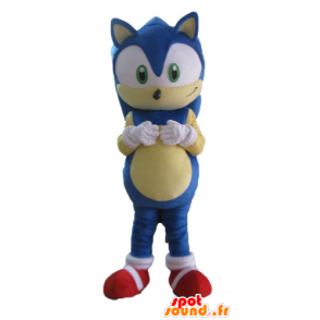 Mascot Sonic, de beroemde blauwe egel video game - MASFR23688 - Celebrities Mascottes