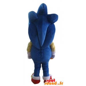 Maskotti Sonic, kuuluisa sininen siili videopeli - MASFR23688 - julkkikset Maskotteja