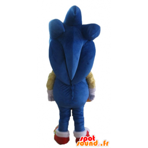 Mascot Sonic, de beroemde blauwe egel video game - MASFR23688 - Celebrities Mascottes