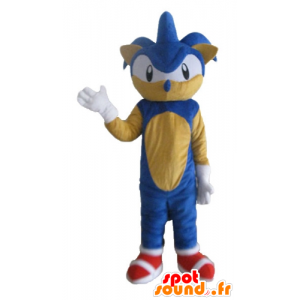 Mascot Sonic, de beroemde blauwe egel video game - MASFR23697 - Celebrities Mascottes