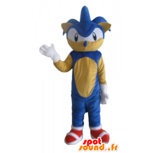 Maskot Sonic, slavný modrý ježek Videohra - MASFR23697 - Celebrity Maskoti