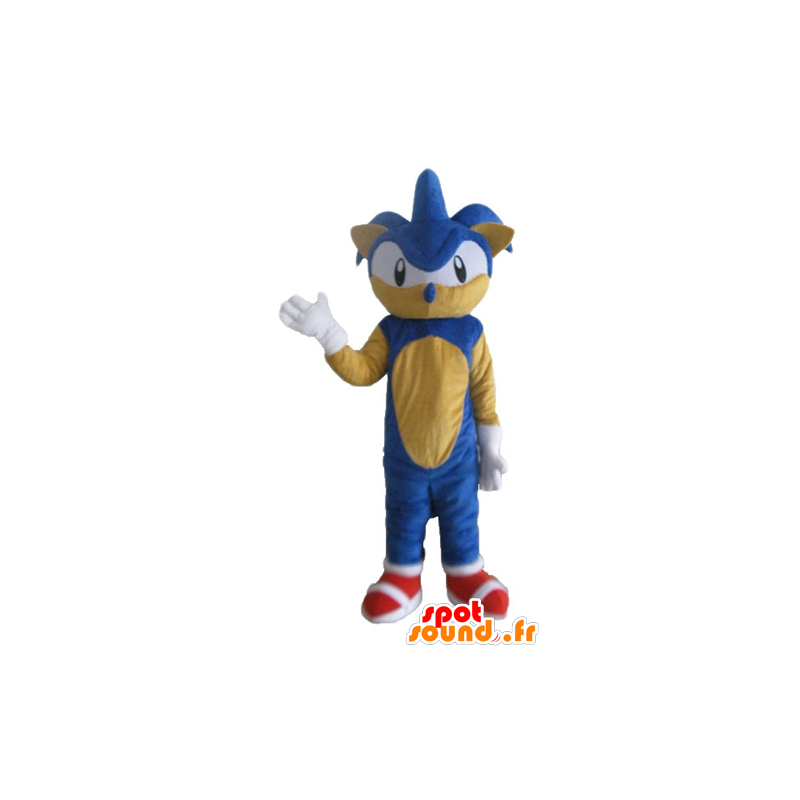 Mascot Sonic, de beroemde blauwe egel video game - MASFR23697 - Celebrities Mascottes