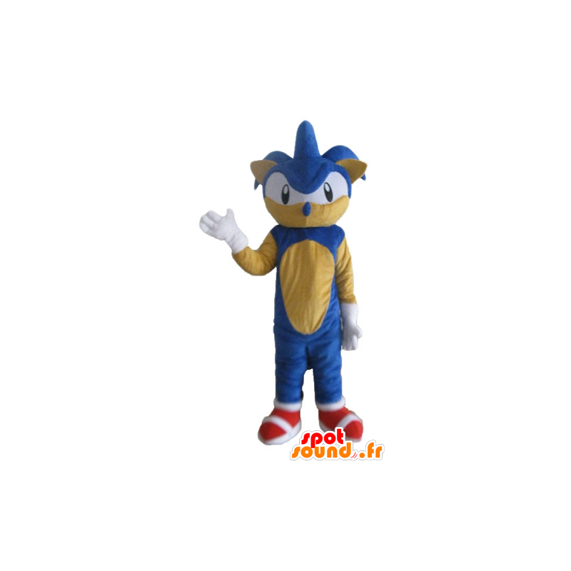 Mascot Sonic, o famoso jogo de vídeo ouriço azul - MASFR23697 - Celebridades Mascotes