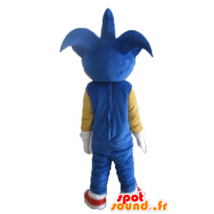 Maskotti Sonic, kuuluisa sininen siili videopeli - MASFR23697 - julkkikset Maskotteja