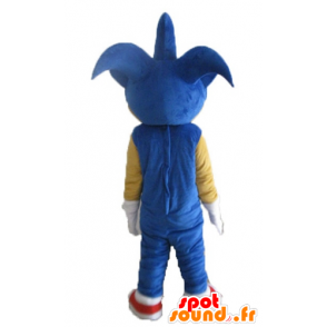 Maskot Sonic, slavný modrý ježek Videohra - MASFR23697 - Celebrity Maskoti