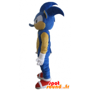 Mascot Sonic, de beroemde blauwe egel video game - MASFR23697 - Celebrities Mascottes