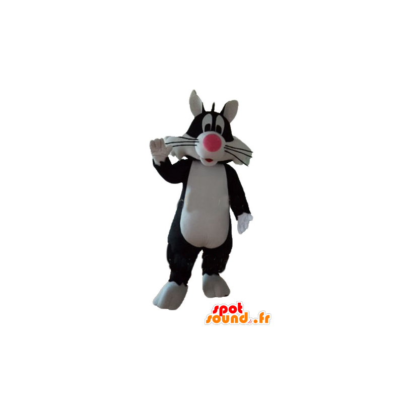 Sylvester Mascot famoso desenho animado gato preto