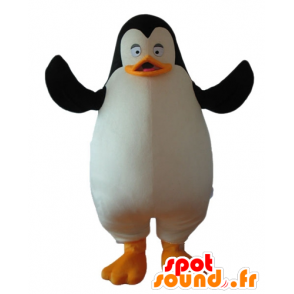 Pingviini maskotti sarjakuva Penguins of Madagascar - Pingviinien maskotteja - MASFR23716 - SpotSound.fr