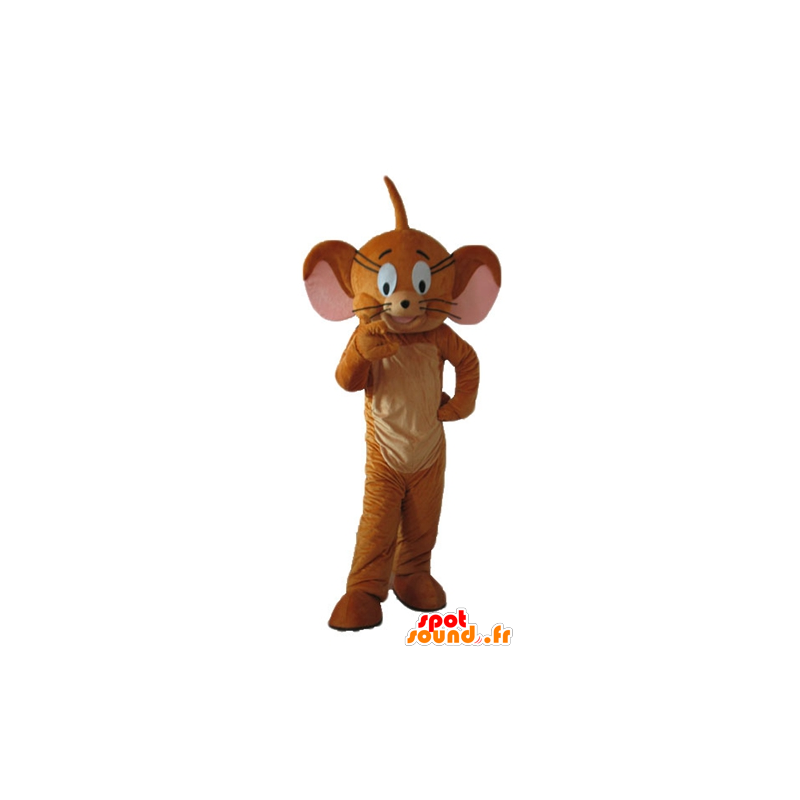 Jerry mascot, the famous mouse Looney Tunes - MASFR23726 - Mascots Tom and Jerry