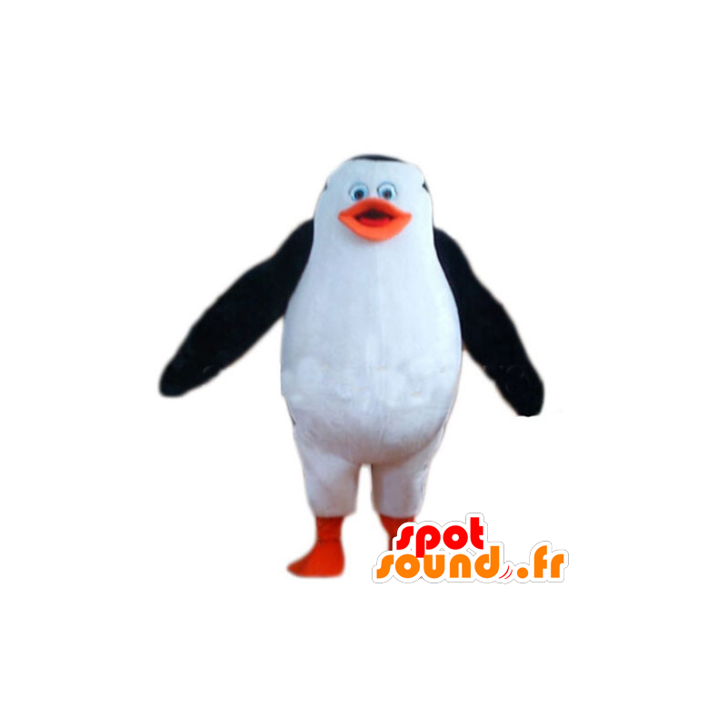 Mascotte de pingouin du dessin animé Les pingouins de Madagascar - MASFR23774 - Mascottes Pingouin