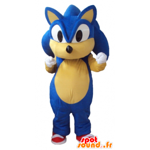 Mascot Sonic, o famoso jogo de vídeo ouriço azul - MASFR23779 - Celebridades Mascotes