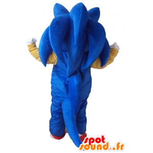 Mascot Sonic, de beroemde blauwe egel video game - MASFR23779 - Celebrities Mascottes