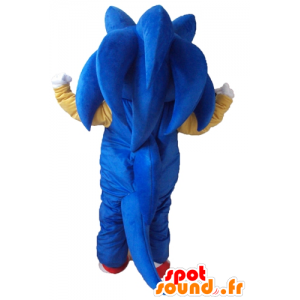 Mascot Sonic, o famoso jogo de vídeo ouriço azul - MASFR23779 - Celebridades Mascotes