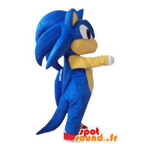 Mascot Sonic, de beroemde blauwe egel video game - MASFR23779 - Celebrities Mascottes