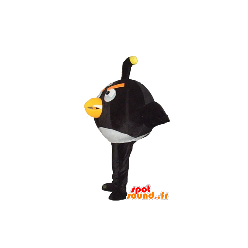 Iso musta ja valkoinen lintu maskotti, suosittu peli Angry Birds - MASFR23790 - julkkikset Maskotteja