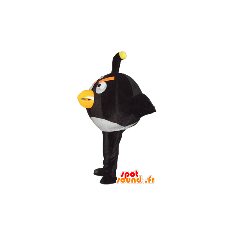 Large black and white bird mascot, the famous game Angry Birds - MASFR23790 - Mascots famous characters