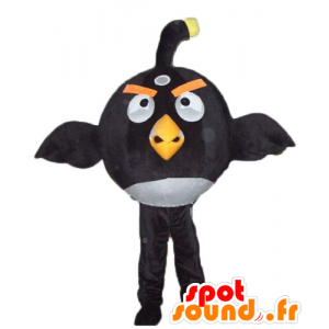 Große schwarz-weiße Vogel-Maskottchen, die berühmten Spiels Angry Birds - MASFR23790 - Maskottchen berühmte Persönlichkeiten