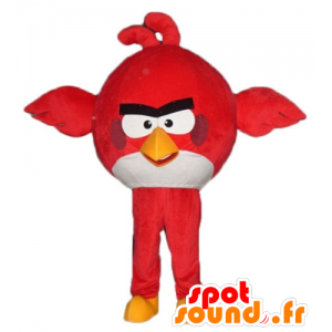 Mascot grande pássaro vermelho e branco do jogo Angry Birds - MASFR23795 - aves mascote