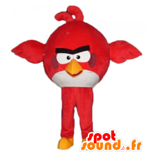 Maskotti suuri punainen ja valkoinen lintu pelin Angry Birds - MASFR23795 - maskotti lintuja