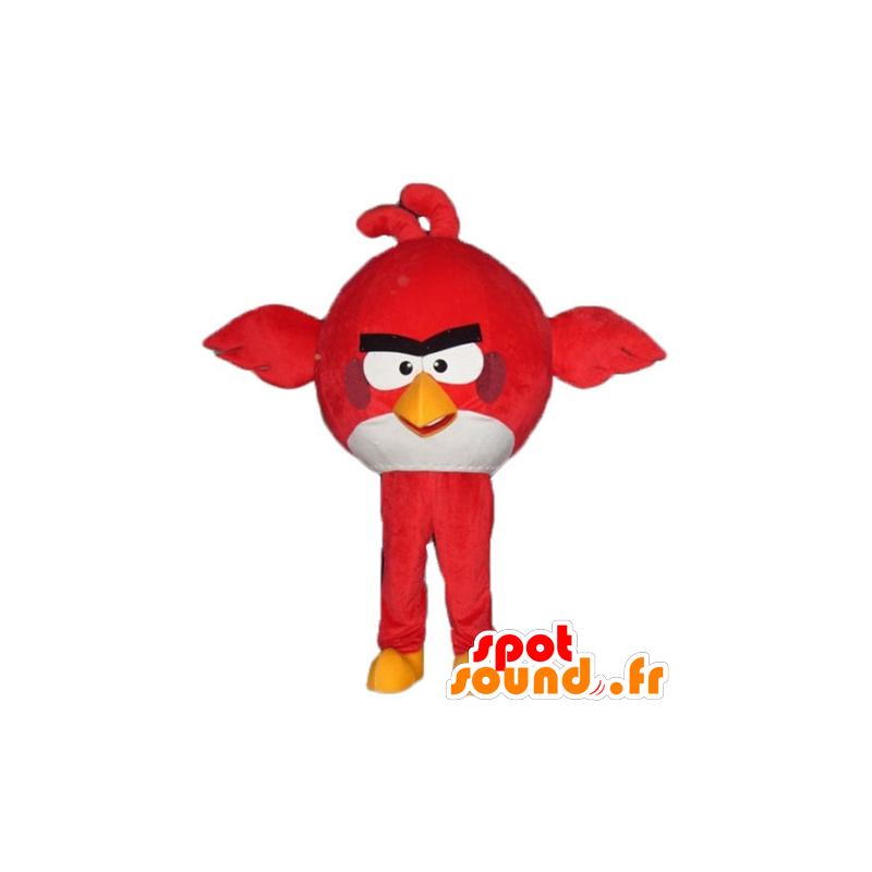 Mascot grande pássaro vermelho e branco do jogo Angry Birds - MASFR23795 - aves mascote