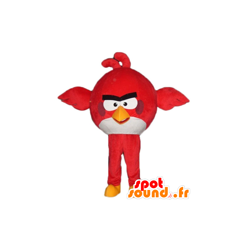 Mascotte de gros oiseau rouge et blanc du jeu Angry Birds - MASFR23795 - Mascotte d'oiseaux