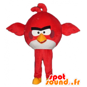 Mascot grande pássaro vermelho e branco do jogo Angry Birds - MASFR23795 - aves mascote