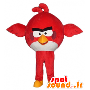 Mascotte de gros oiseau rouge et blanc du jeu Angry Birds - MASFR23795 - Mascotte d'oiseaux