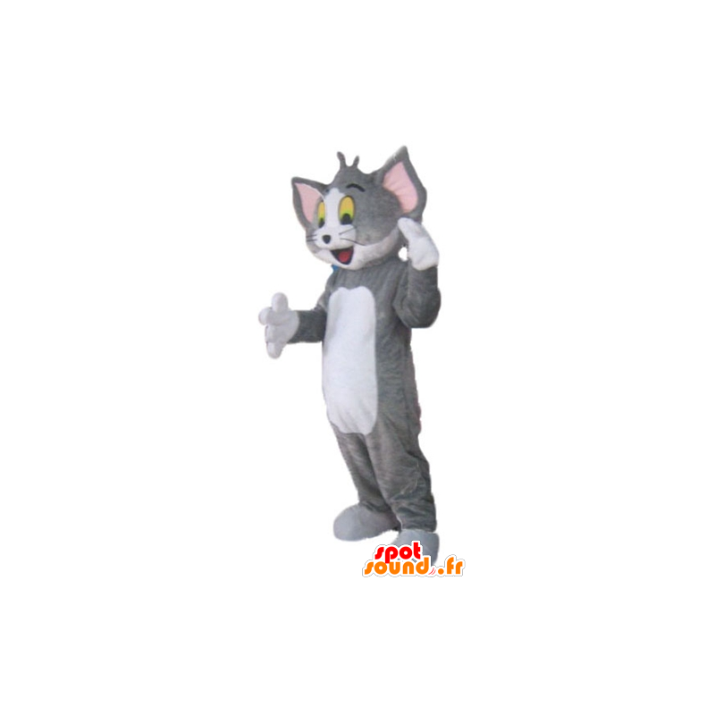 Tom mascotte, il famoso gatto grigio e bianco Looney Tunes - MASFR23802 - Mascotte Tom e Jerry