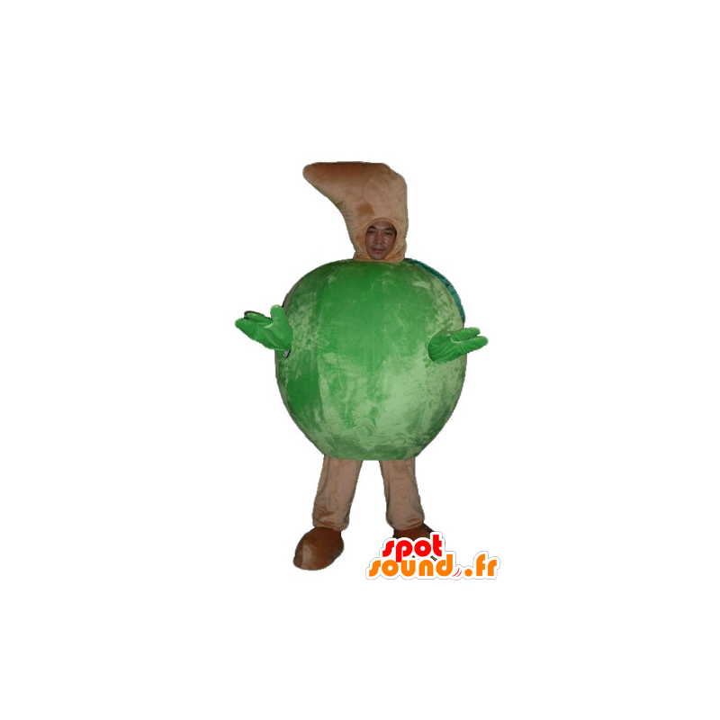 Gigante mela mascotte verde, tutto - MASFR23842 - Mascotte di frutta