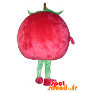 Kers mascotte, reuzeaardbei, rood en groen - MASFR23843 - fruit Mascot