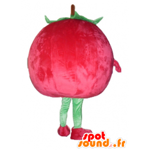 Cherry mascot, giant strawberry, red and green - MASFR23843 - Fruit mascot