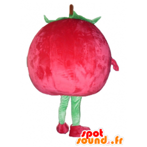 Kirsche-Maskottchen, riesigen Erdbeere, rot und grün - MASFR23843 - Obst-Maskottchen
