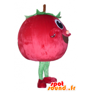 Cereja mascote, morango gigante, vermelho e verde - MASFR23843 - frutas Mascot