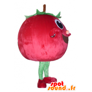 Kers mascotte, reuzeaardbei, rood en groen - MASFR23843 - fruit Mascot
