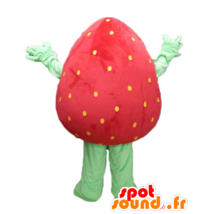 Mascot fresa gigante, rojo y verde, sonriendo - MASFR23845 - Mascota de la fruta