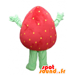 Mascot giant strawberry, red and green, smiling - MASFR23845 - Fruit mascot