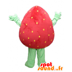 Mascot reuzeaardbei, rood en groen, glimlachen - MASFR23845 - fruit Mascot