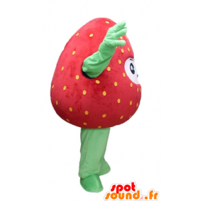 Mascotte de fraise géante, rouge et verte, souriante - MASFR23845 - Mascotte de fruits