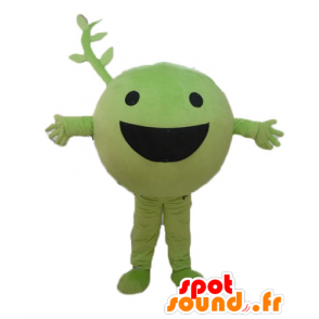 Piselli Mascotte, frutta, verdura verde, allegro - MASFR23847 - Mascotte per frutta e verdura