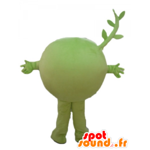 Ervilhas mascote, frutas, vegetais verdes, muito sorridente - MASFR23847 - Mascotes de frutas e legumes