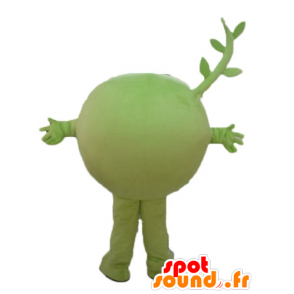 Mascotte de petit pois, de fruit, de légume vert, très souriant - MASFR23847 - Mascottes de fruits et légumes